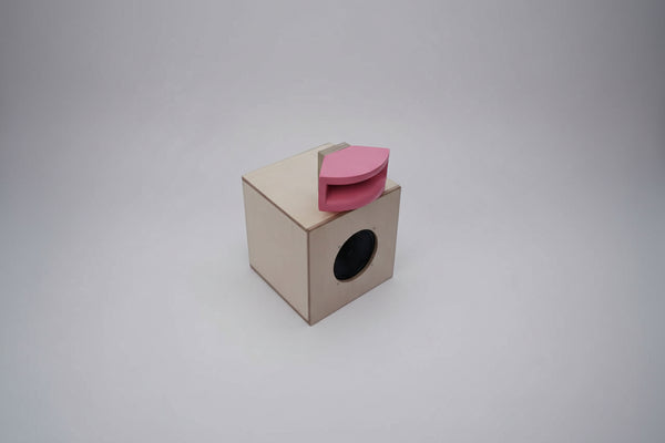 OBJ.02.BIRADIAL.HORN